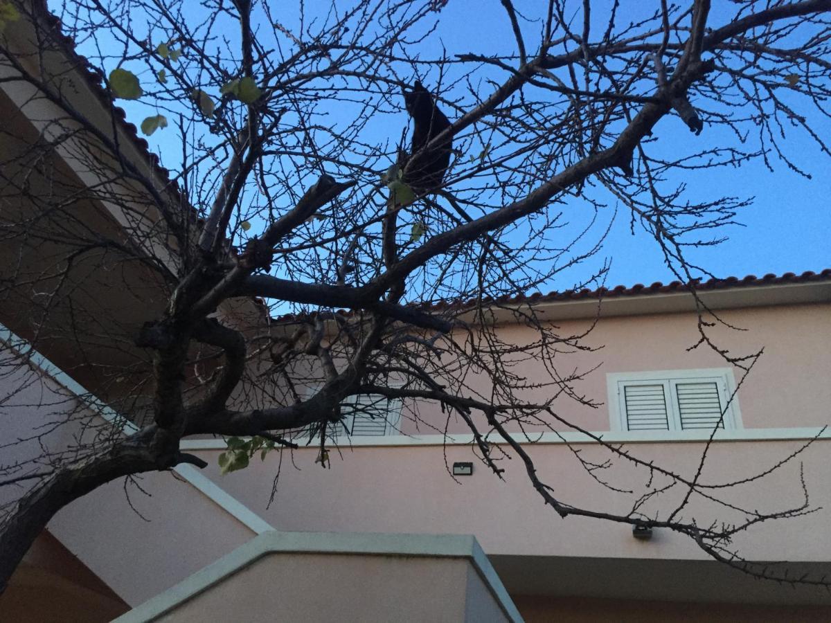 La Maison Di Zia Annina Olbia Bagian luar foto