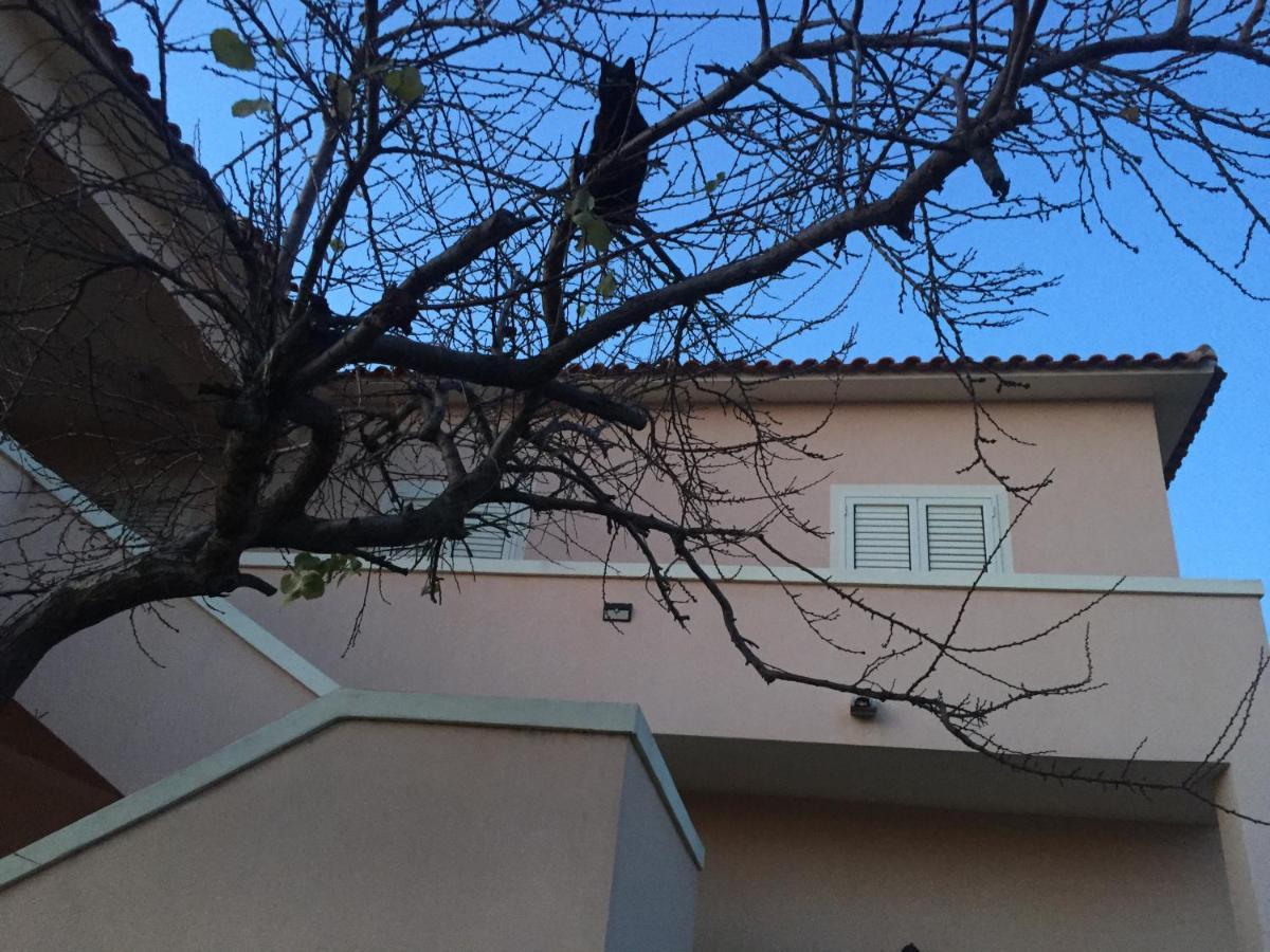 La Maison Di Zia Annina Olbia Bagian luar foto