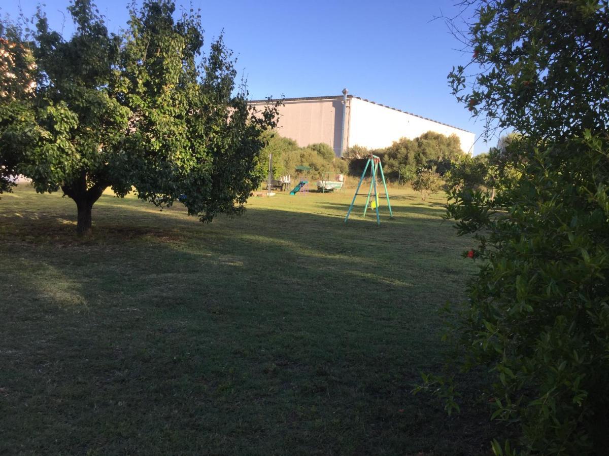 La Maison Di Zia Annina Olbia Bagian luar foto