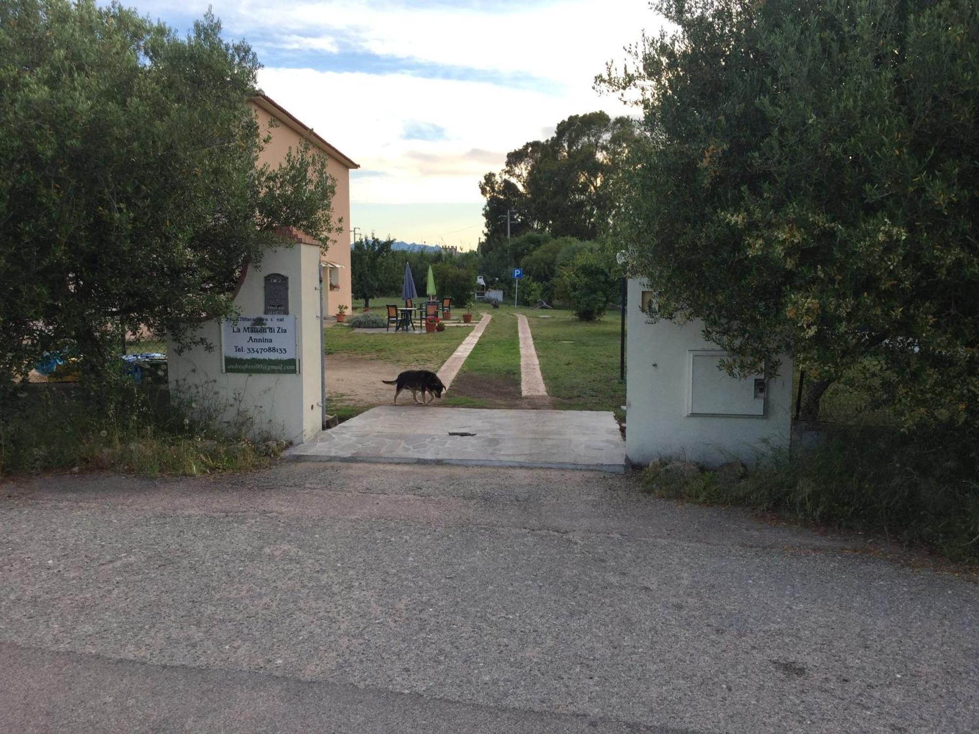 La Maison Di Zia Annina Olbia Bagian luar foto