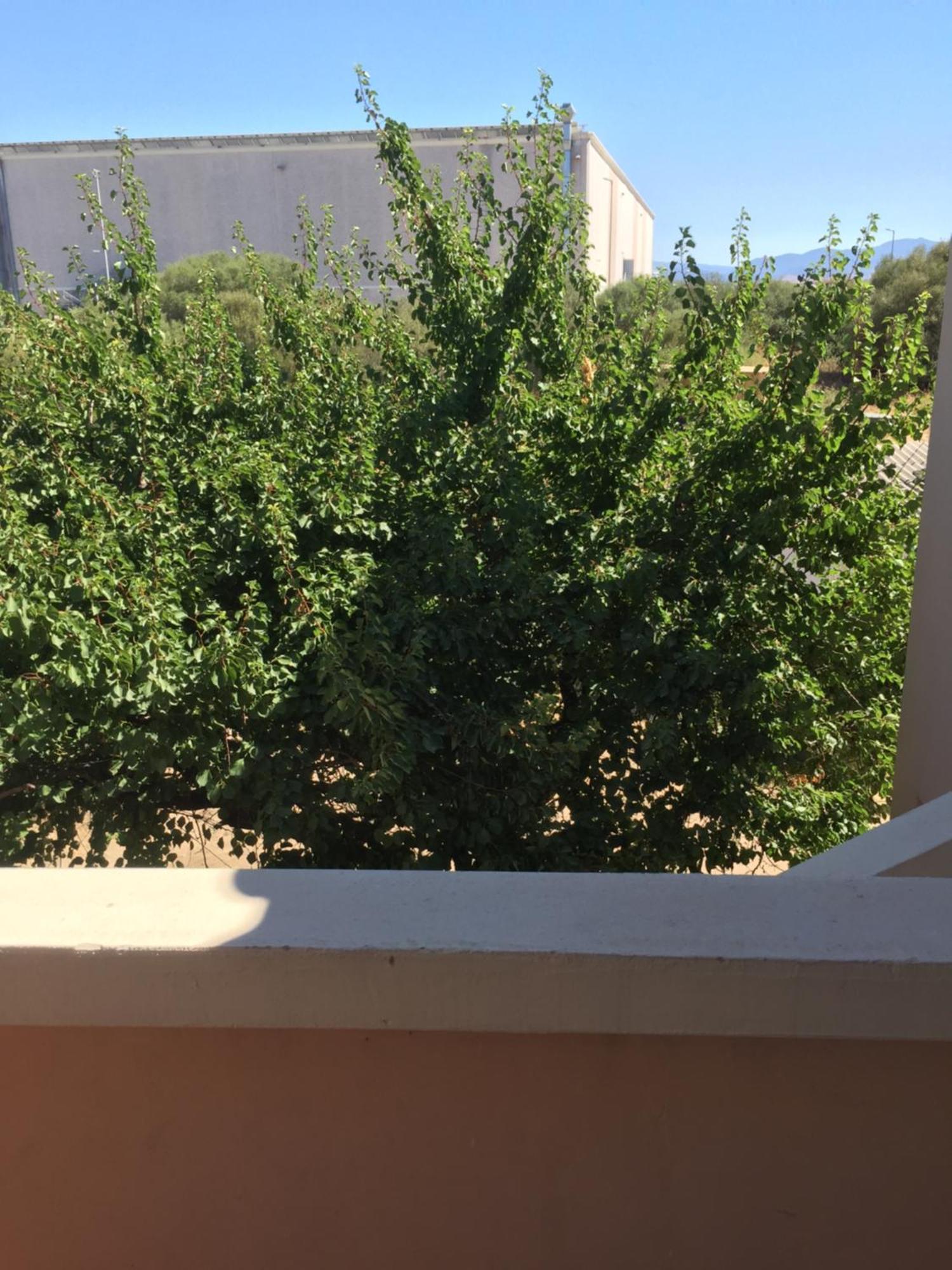 La Maison Di Zia Annina Olbia Bagian luar foto