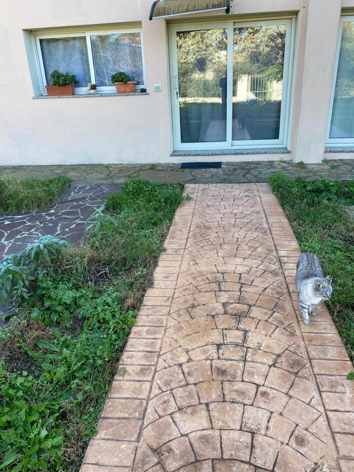 La Maison Di Zia Annina Olbia Bagian luar foto