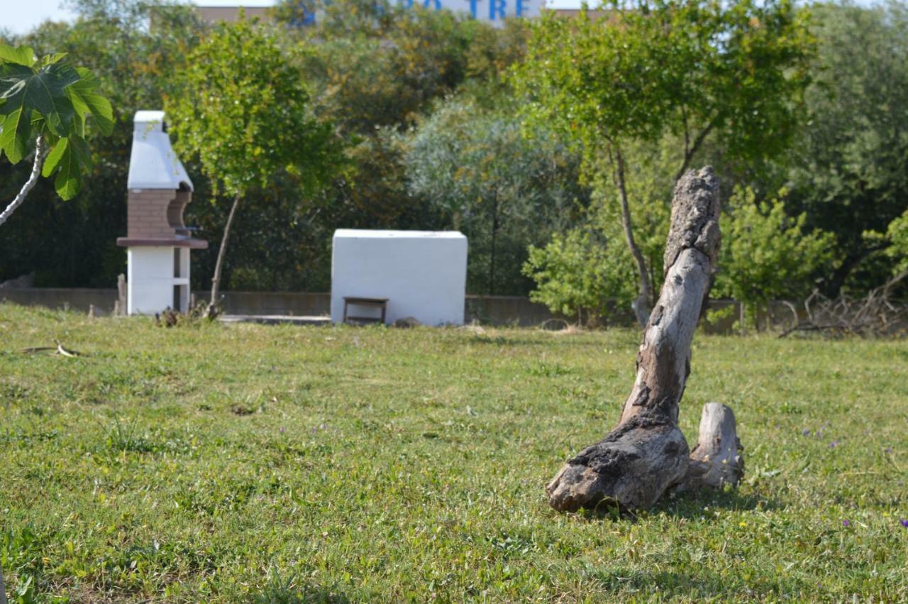 La Maison Di Zia Annina In Sardegna Hotel Olbia Bagian luar foto